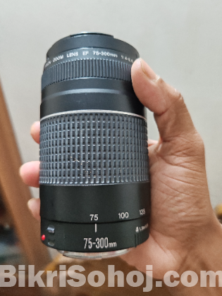 canon 75-300 lens